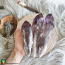 XL Amethyst Wands - Anima Mundi Crystals