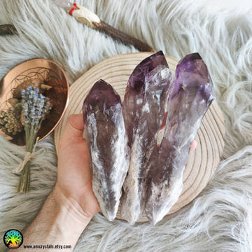 XL Amethyst Wands - Anima Mundi Crystals