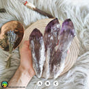 XL Amethyst Wands - Anima Mundi Crystals