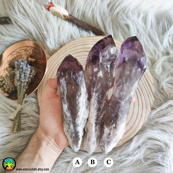 XL Amethyst Wands - Anima Mundi Crystals
