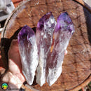 XL Amethyst Wands - Anima Mundi Crystals