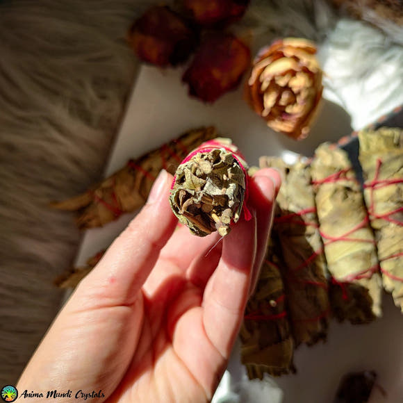 Yerba Santa Smudge Stick - Anima Mundi Crystals