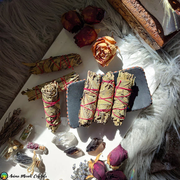 Yerba Santa Smudge Stick - Anima Mundi Crystals