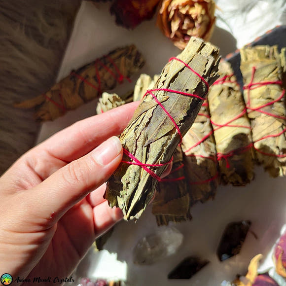 Yerba Santa Smudge Stick - Anima Mundi Crystals