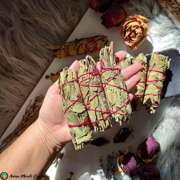 Yerba Santa Smudge Stick - Anima Mundi Crystals