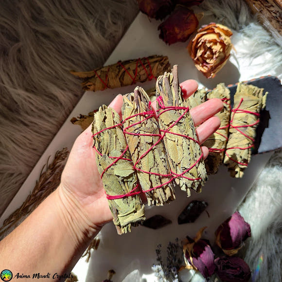 Yerba Santa Smudge Stick - Anima Mundi Crystals