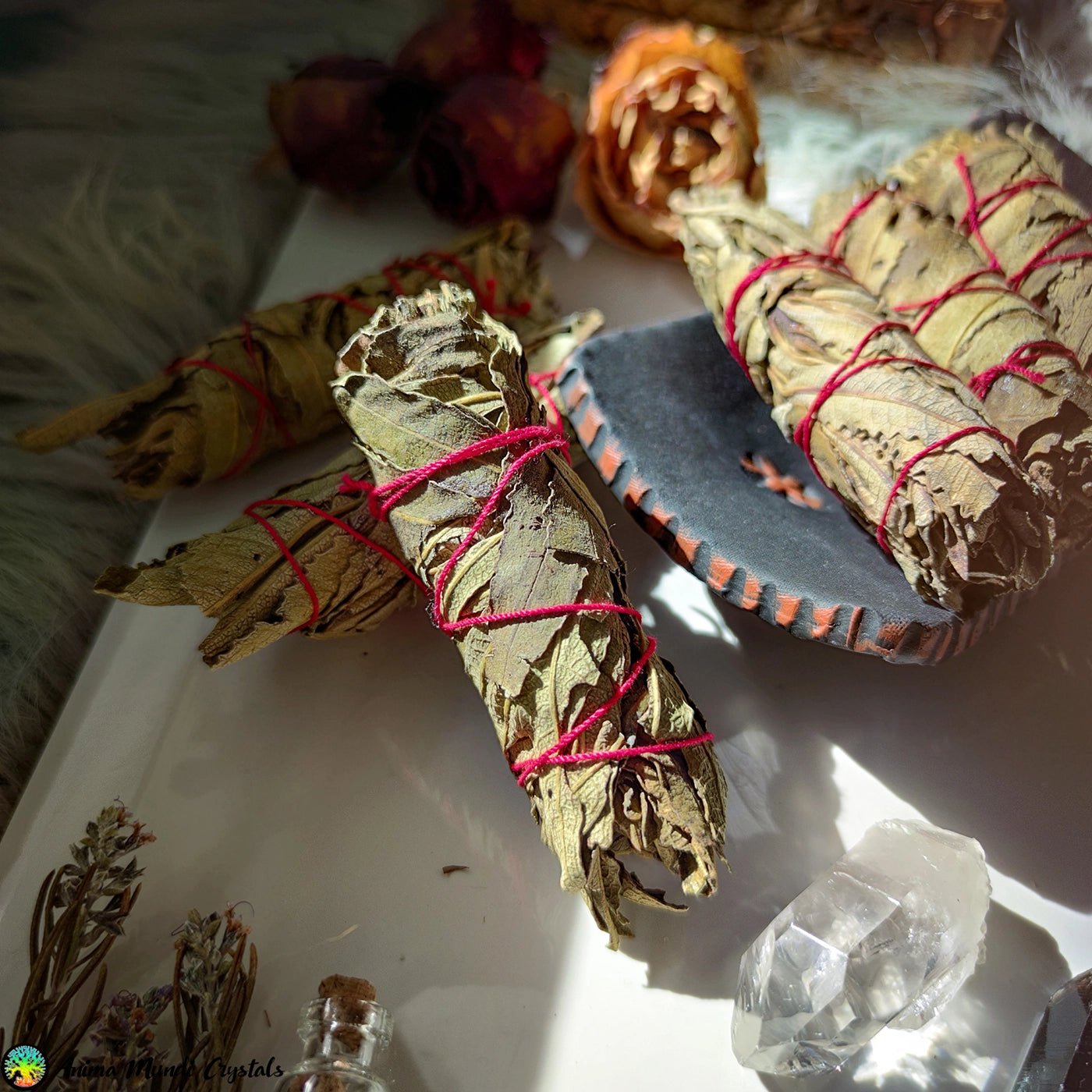 Yerba Santa Smudge Stick – Anima Mundi Kristalle